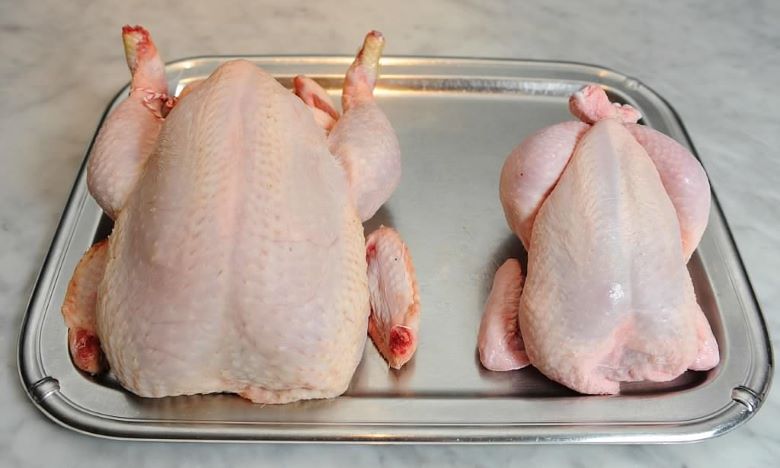 Thịt gà, thịt ngan và thịt vịt khác nhau ở điểm gì?