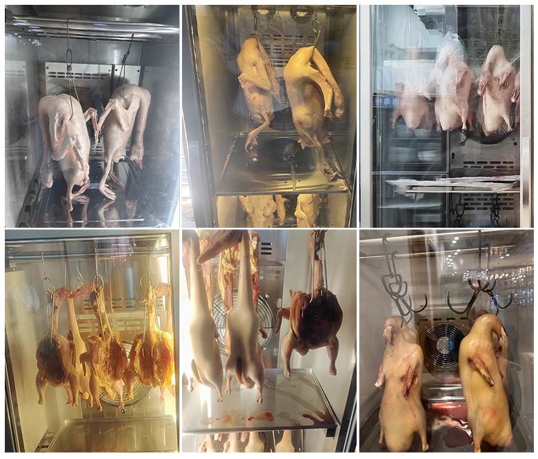 Hình ảnh thực tế